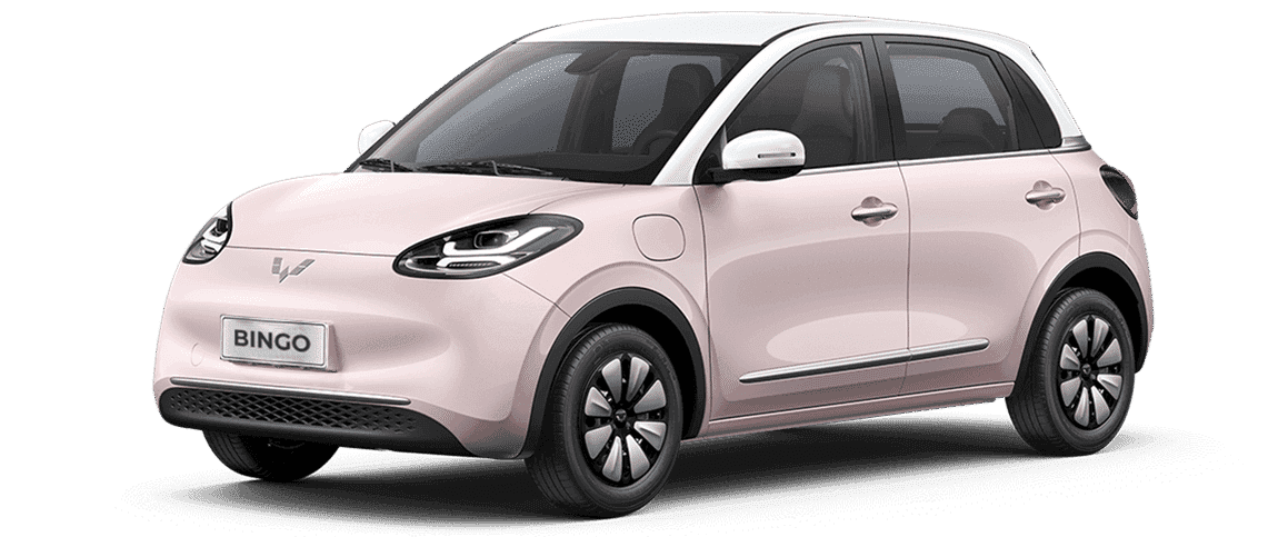 Wuling Bingo